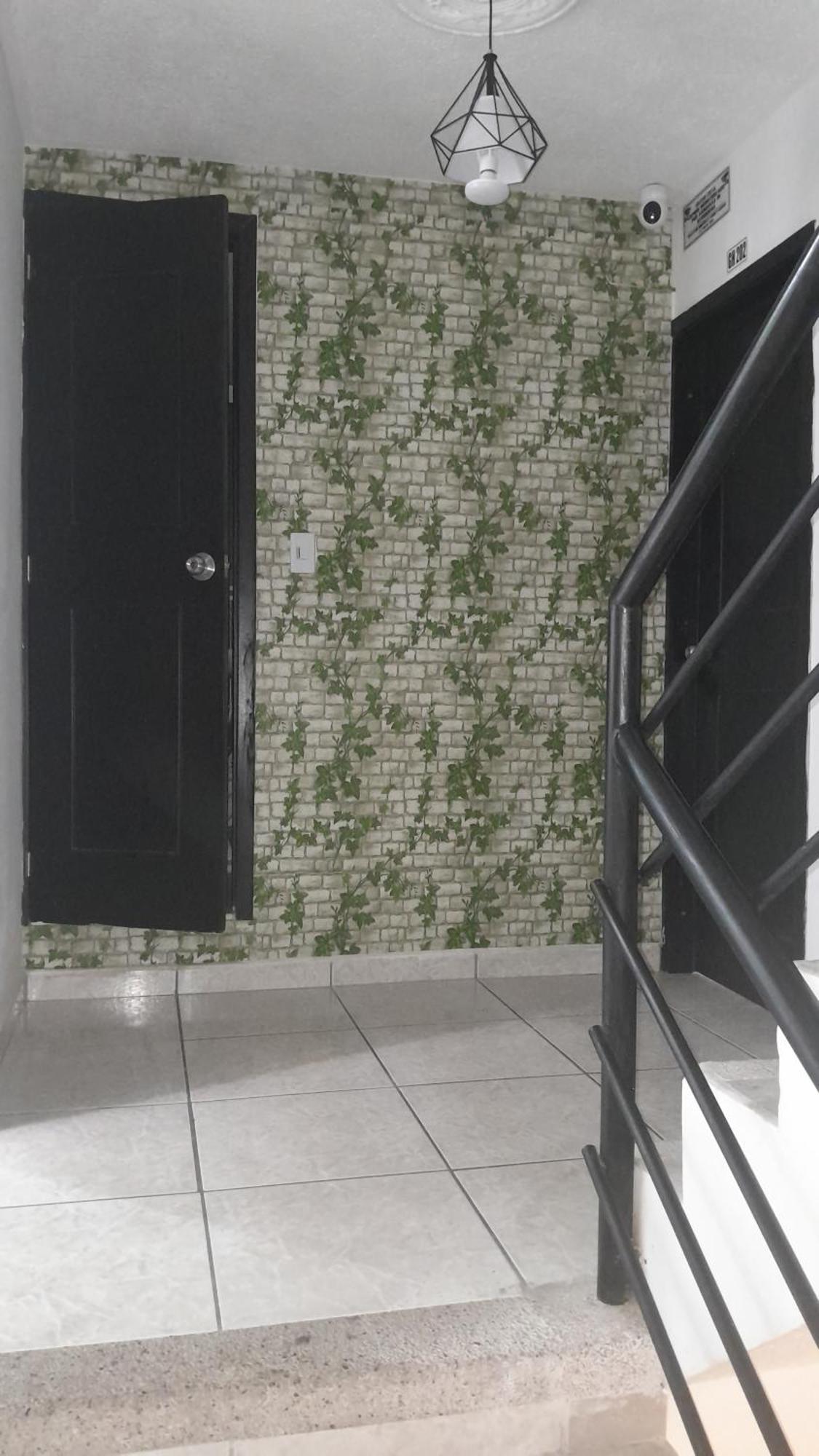 Green House Habitaciones 布卡拉曼加 外观 照片